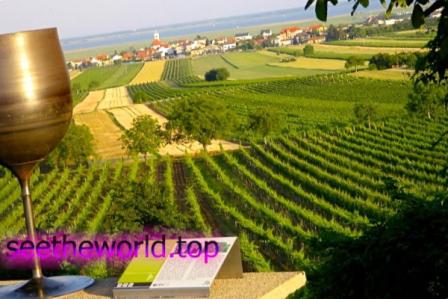 Burgenland - vacation in Austria