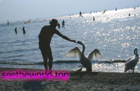 Burgenland - vacation in Austria