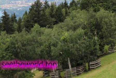 Vorarlberg :: Vacation in the Alps