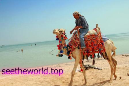 Vacation in Sharm-El-Sheikh from Lviv :: Prices at the Sharm-El-Sheikh resort