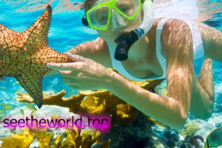Vacation in Sharm-El-Sheikh from Lviv :: Prices at the Sharm-El-Sheikh resort