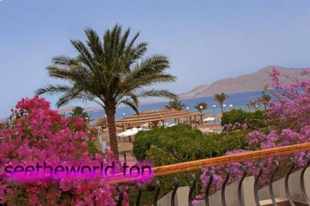 Vacation in Sharm-El-Sheikh from Lviv :: Prices at the Sharm-El-Sheikh resort