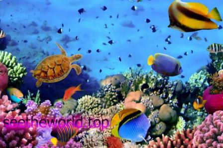 Vacation in Hurghada from Lviv :: Prices at the resort of Hurghada