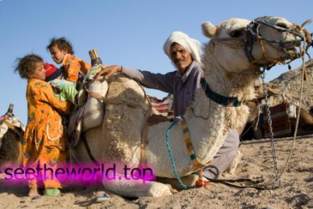 Vacation in Hurghada from Lviv :: Prices at the resort of Hurghada