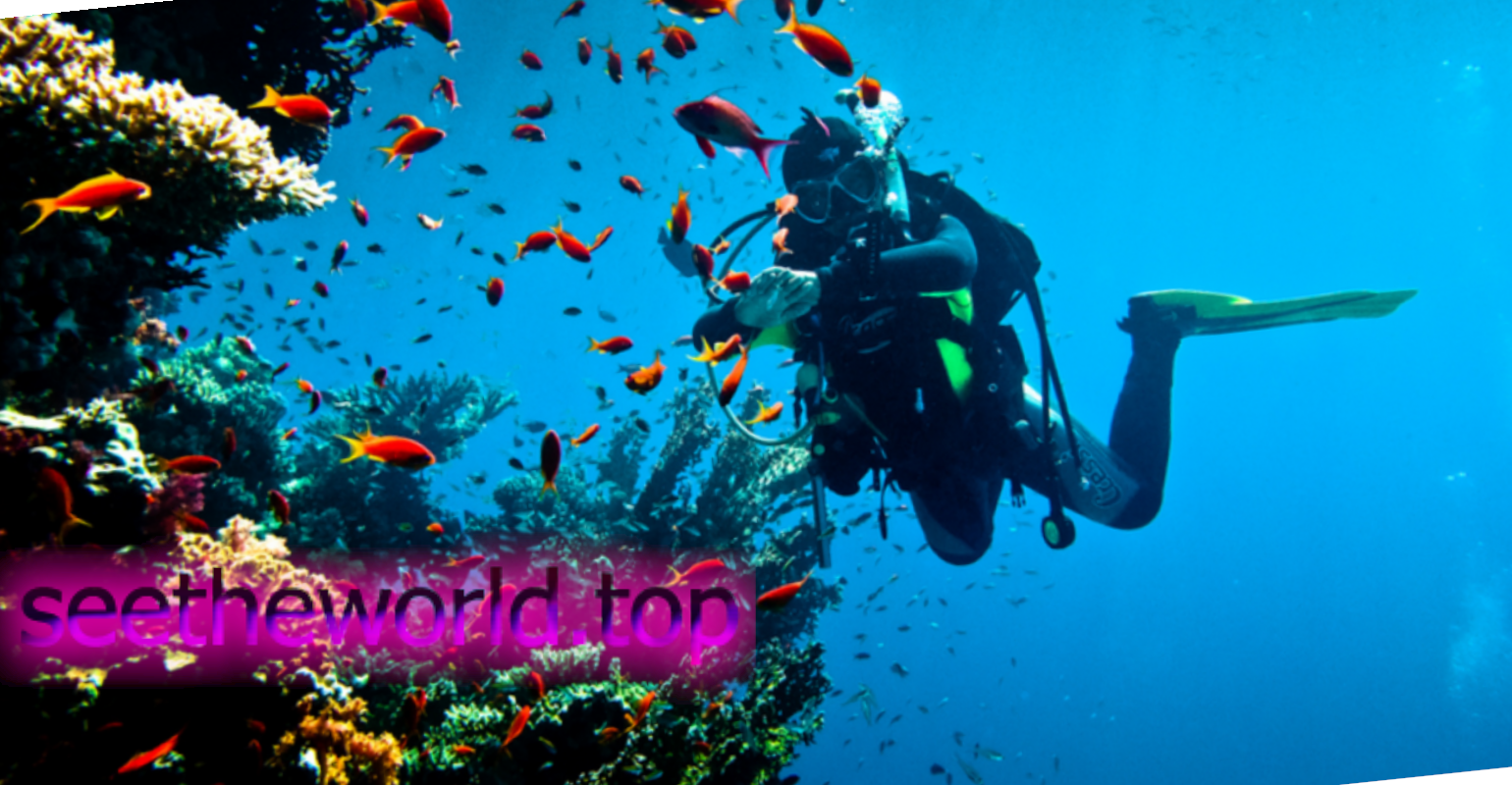 The best resorts for vacation in Egypt from Lviv