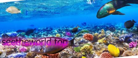 The best resorts for vacation in Egypt from Lviv