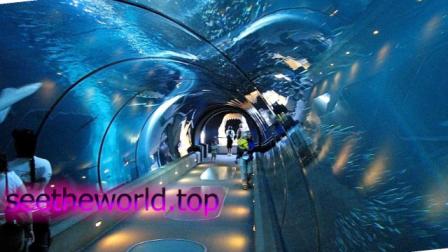 Rest in Alanya :: Prices at the Alanya resort