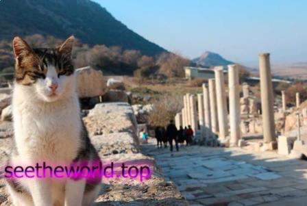The best resorts in Turkey :: Vacation in Turkey