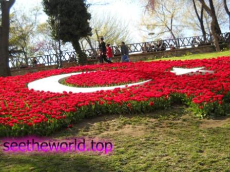Where to go in Istanbul