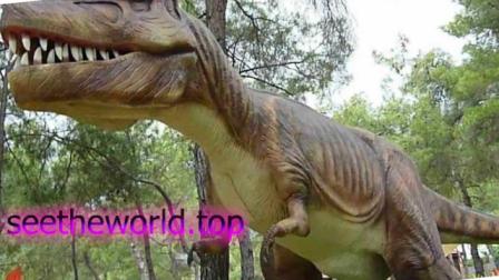 What to see in Kemer