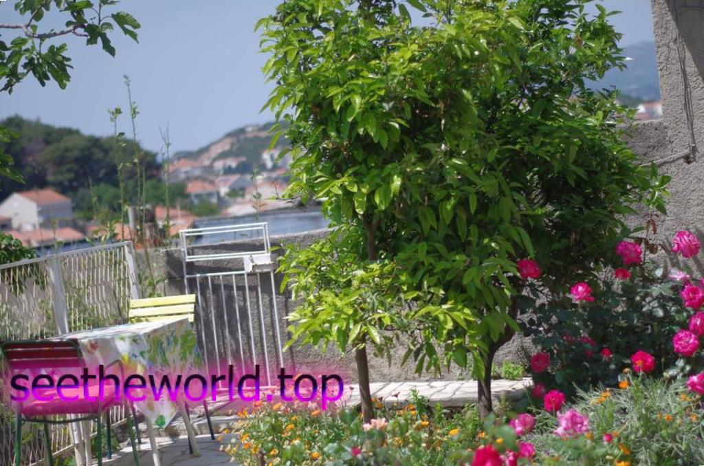 Dubrovnik, Croatia: sights and recreation in the city