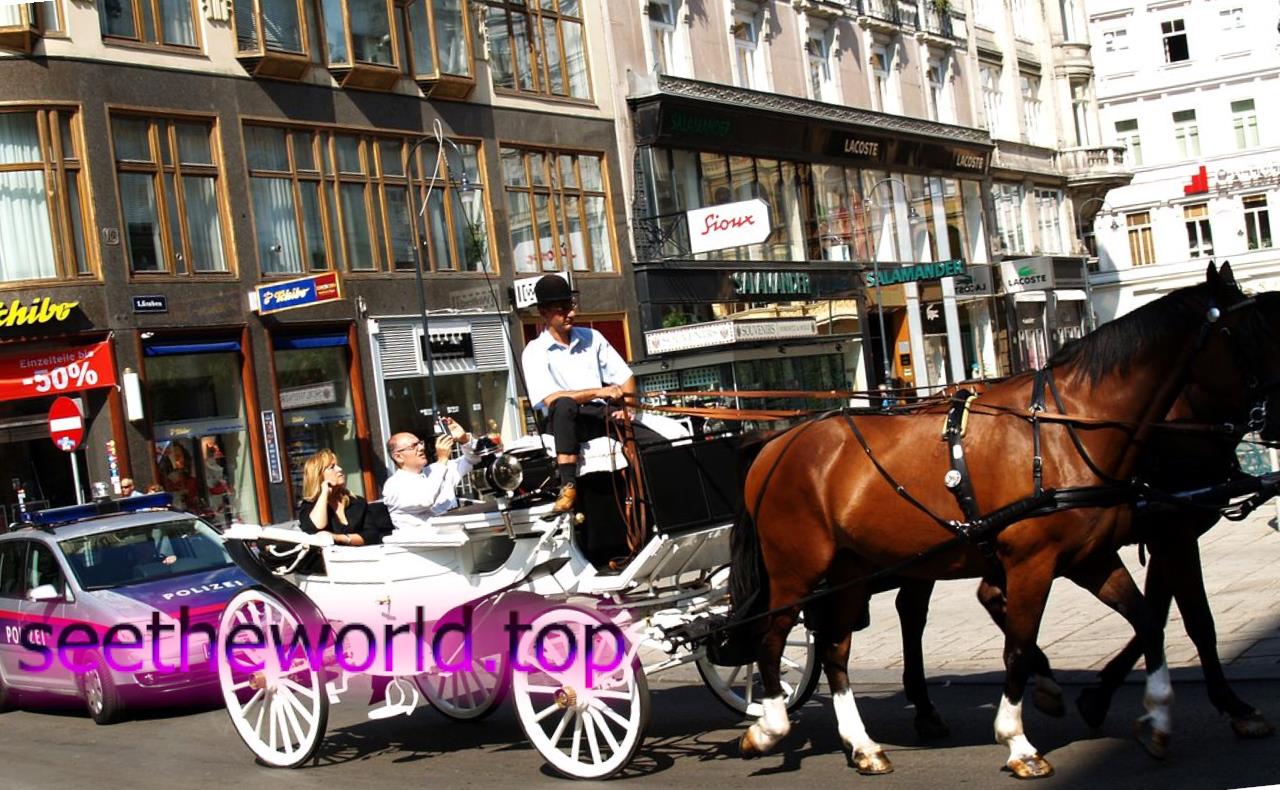 Vienna is the pearl of Austria