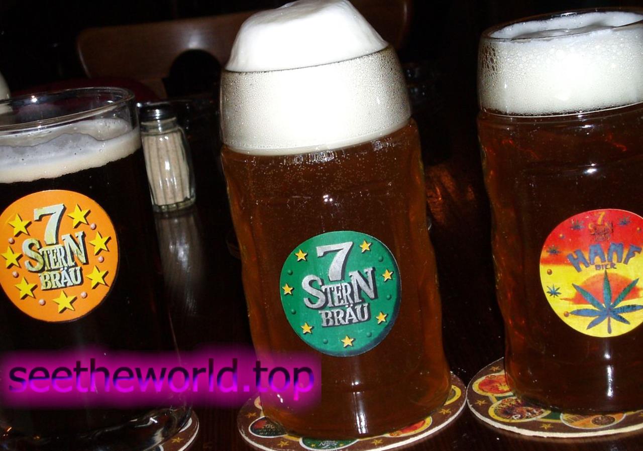 Vienna is the pearl of Austria
