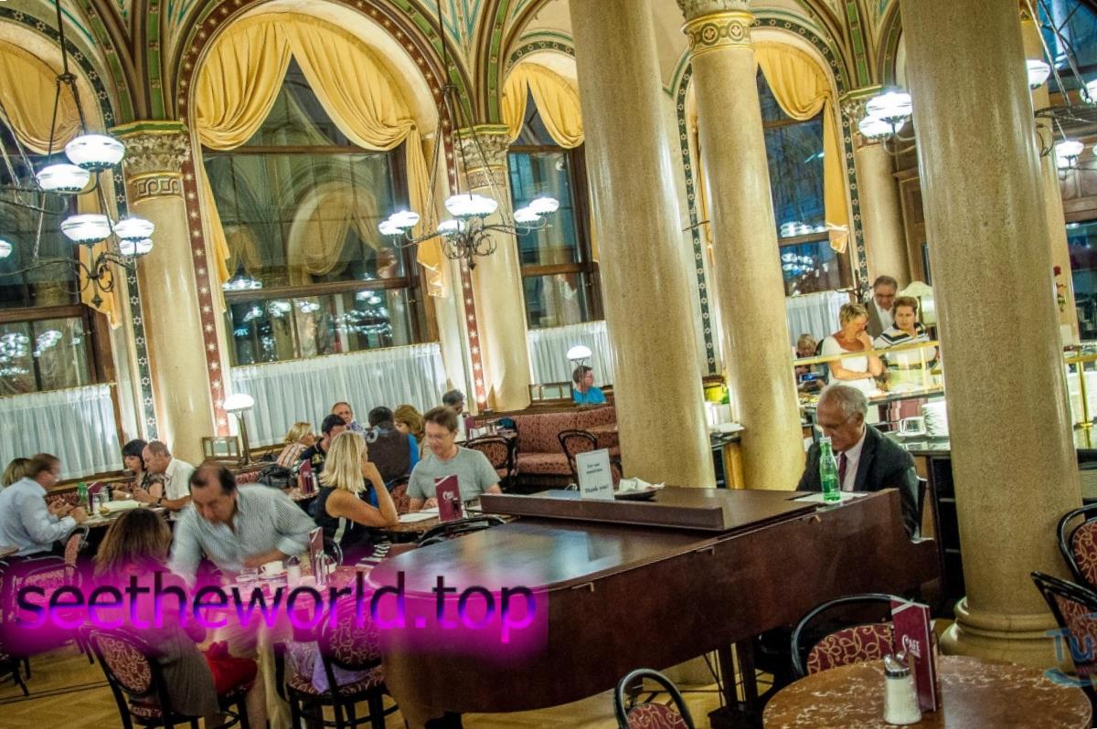Vienna is the pearl of Austria
