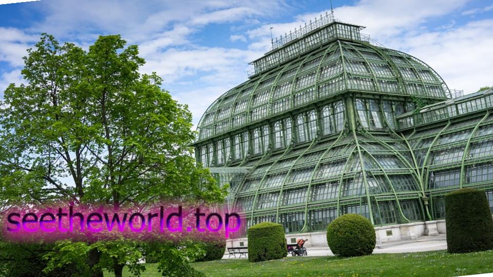 Vienna is the pearl of Austria