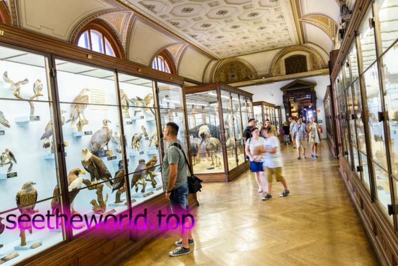 Vienna is the pearl of Austria