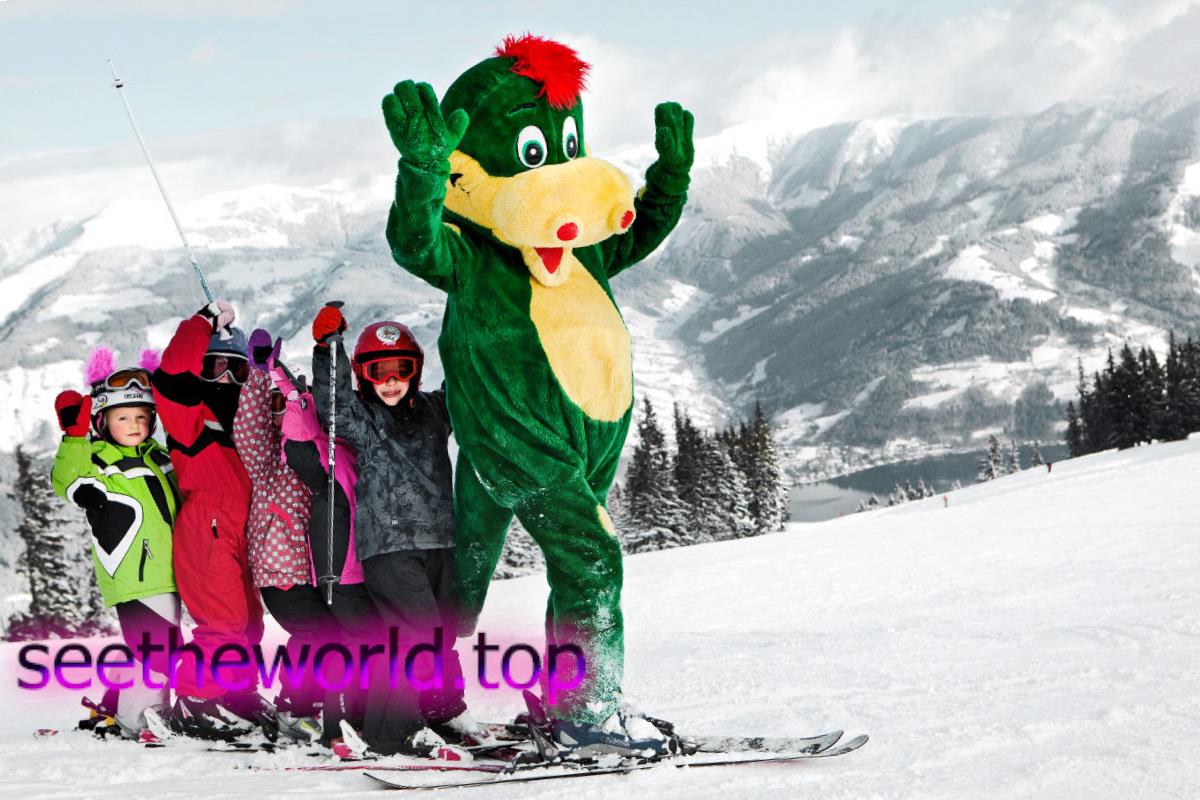 Skigebied - Zell am See (ZellamSee), Oostenrijk
