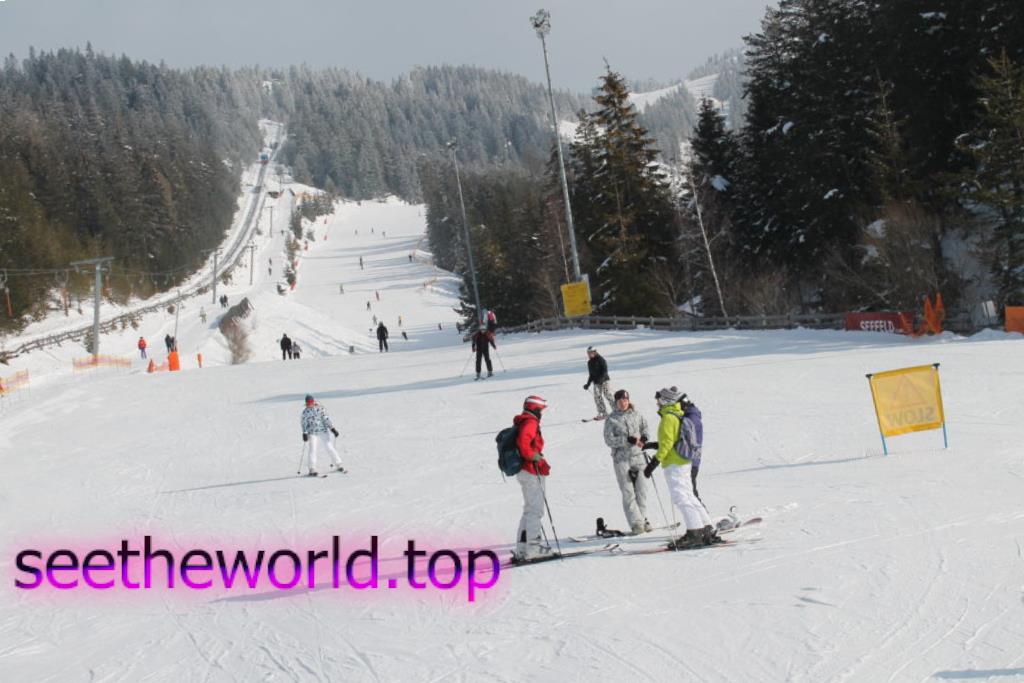 Ski resort - Seefeld (Seefeld), Austria