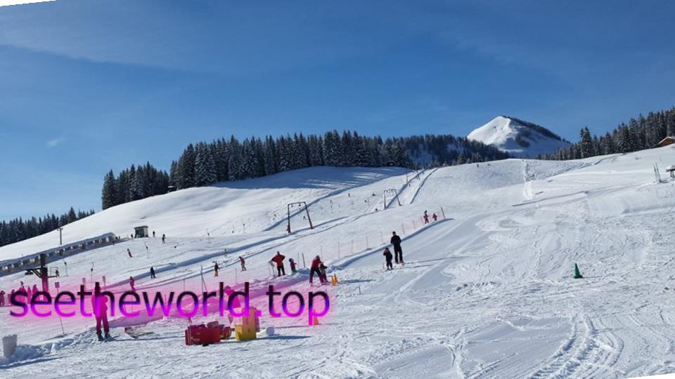 Ski resort - St. Wolfgang (St. Wolfgang), Austria