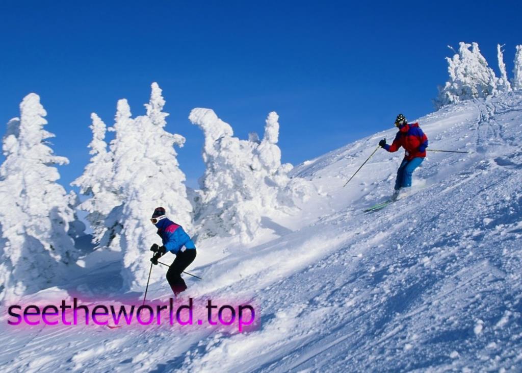 Ski resort Meribel (Meribel), France