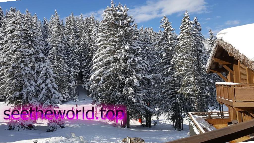 Ski resort Courchevel (Courchevel), France