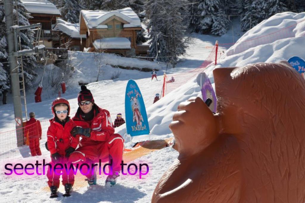 Ski resort La Tania (La Tania), France