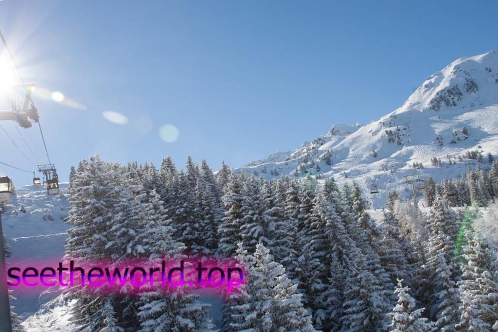 Ski resort La Tania (La Tania), France