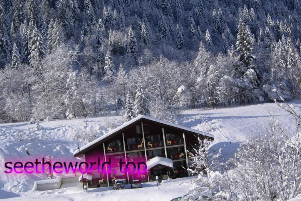 Ski resort Chatel (Chatel), France