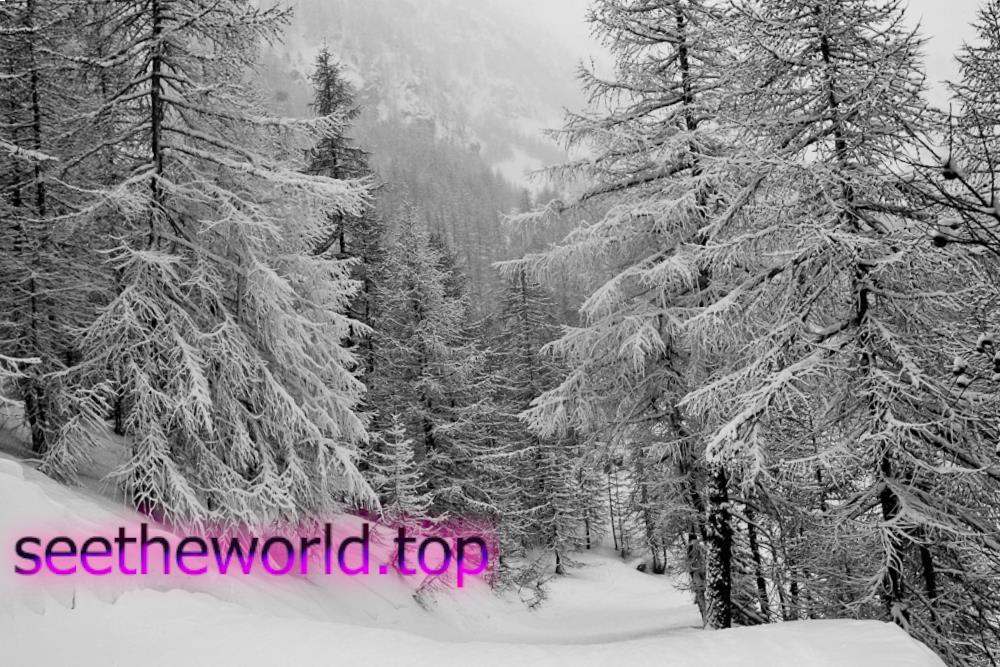 Ski resort Serre Chevalier (Serre Chevalier), France