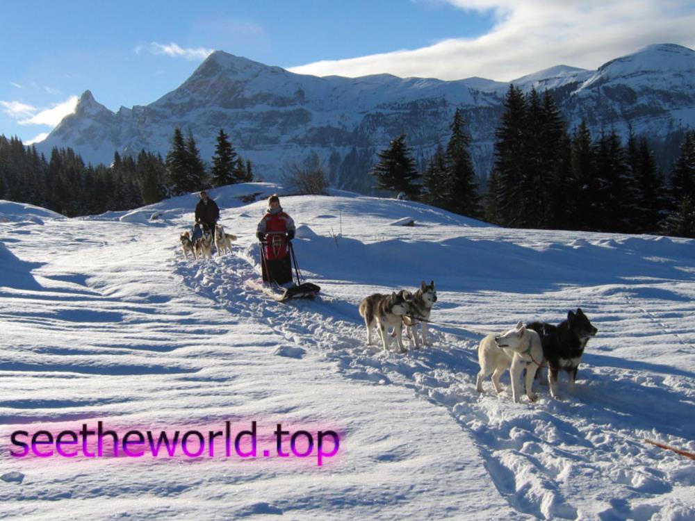 Ski resort Flaine (Flaine), France