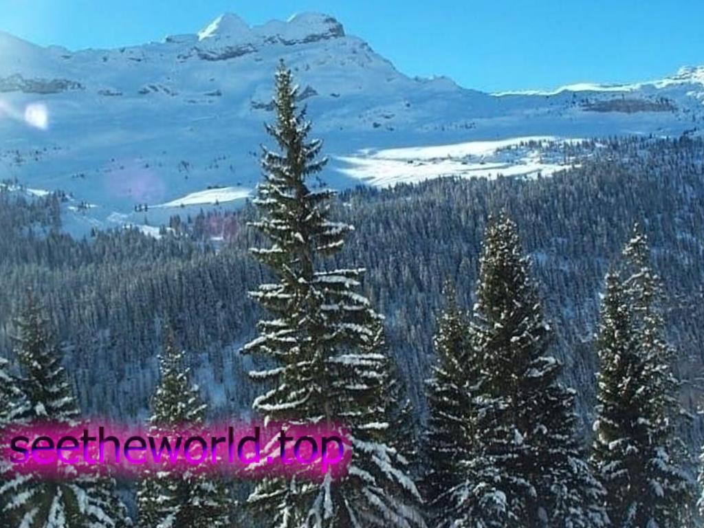 Ski resort Flaine (Flaine), France