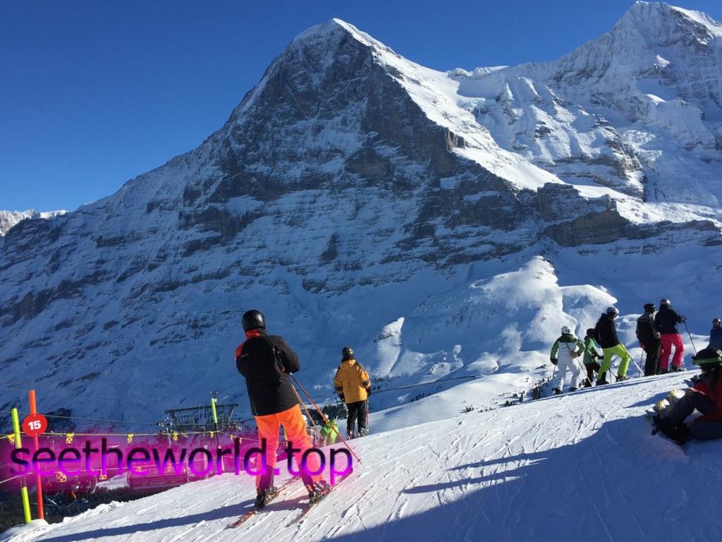Skigebiet Grindelwald, Schweiz