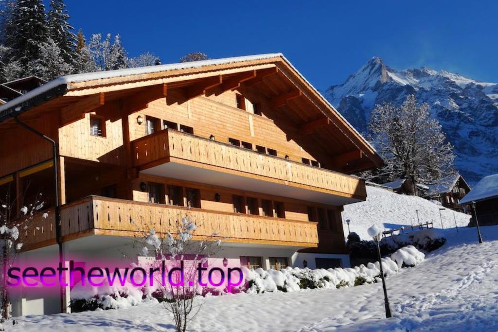 Skigebiet Grindelwald, Schweiz