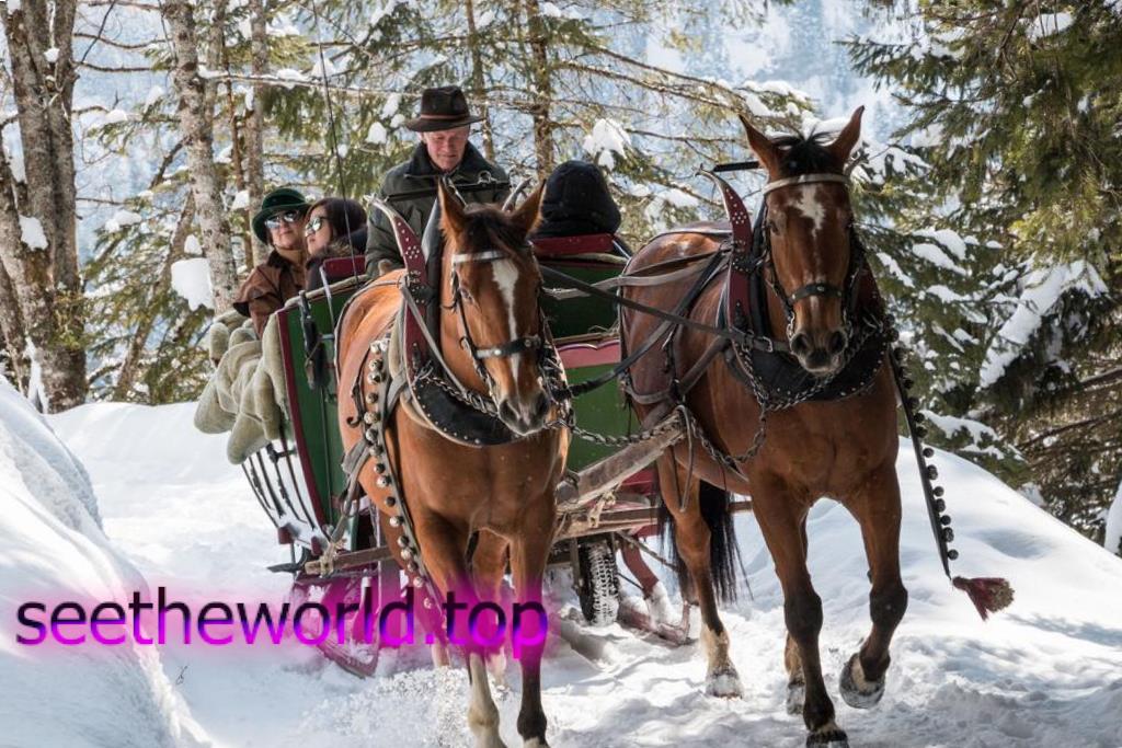 Skigebiet Gstaad (Gstaad), Schweiz