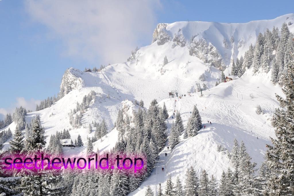 Ski resort Brauneck (Brauneck), Germany