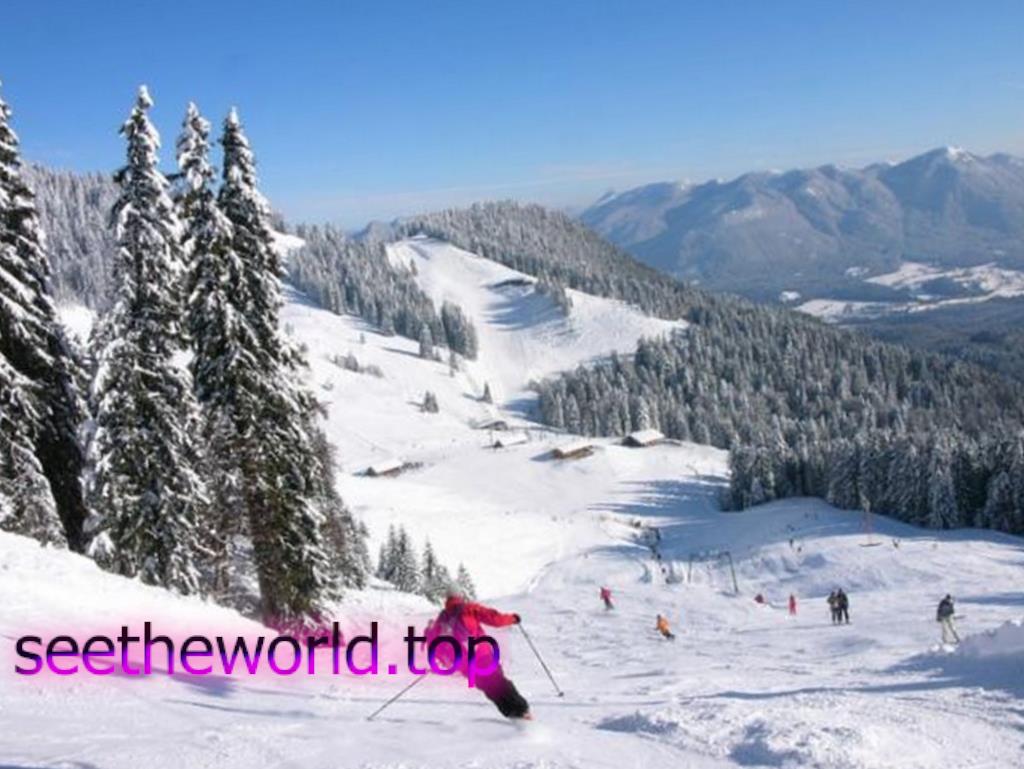 Ski resort Brauneck (Brauneck), Germany