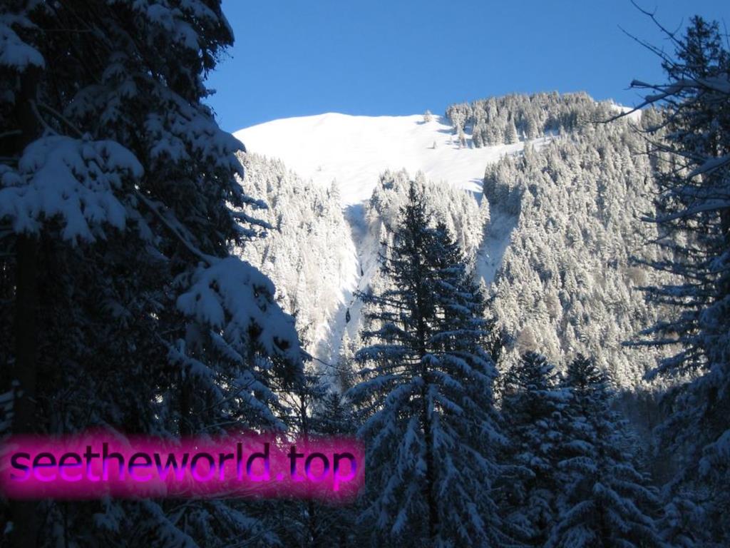 Ski resort Brauneck (Brauneck), Germany