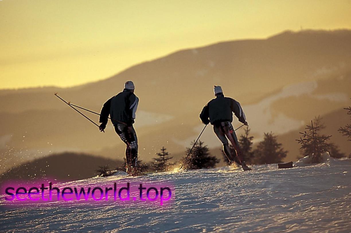 Ski resort Mittenwald (Mittenwald), Germany