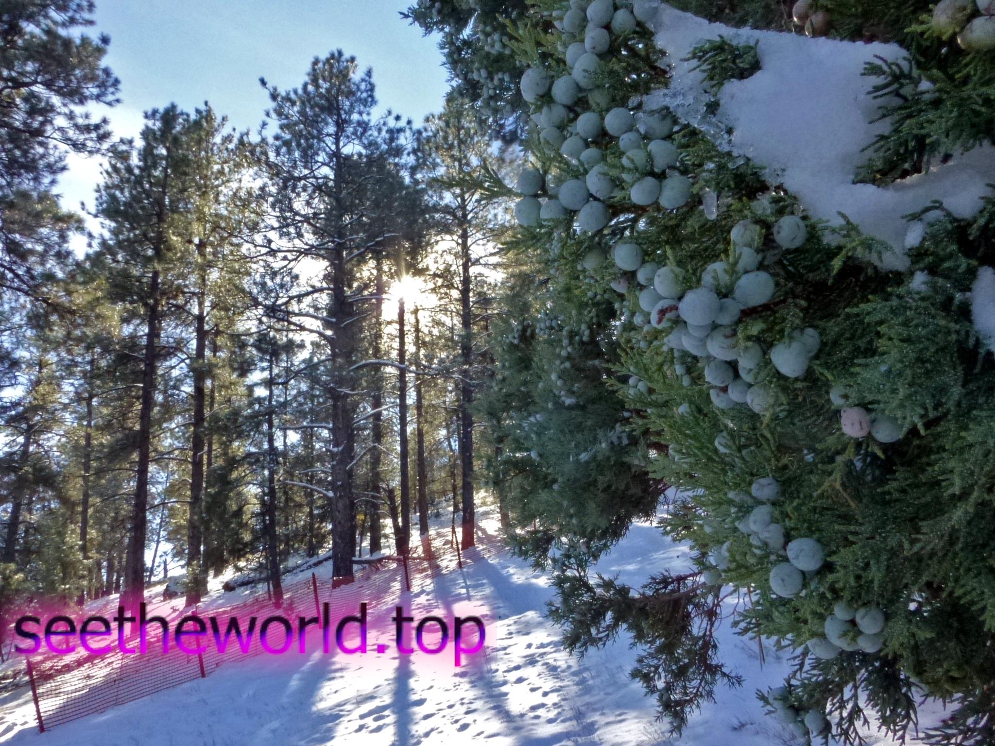 Ski resorts of Spain
