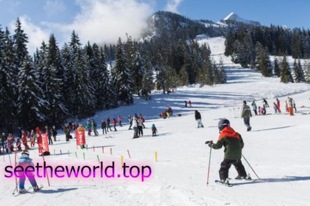 Ski resort Podbanske (Podbanske), Slovakia