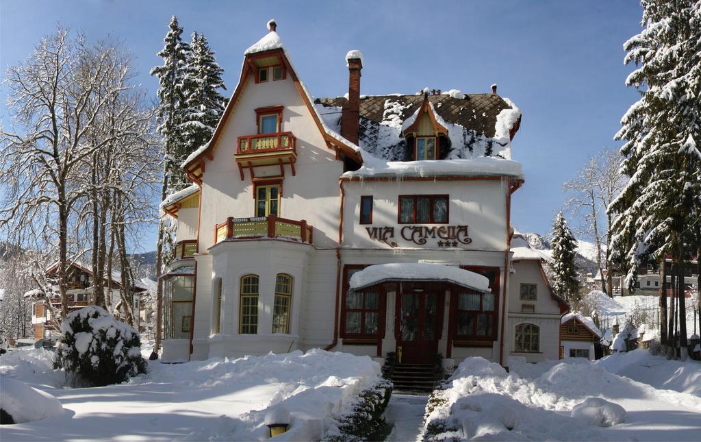 Гірськолижний курорт Сіная (Sinaia), Румунія