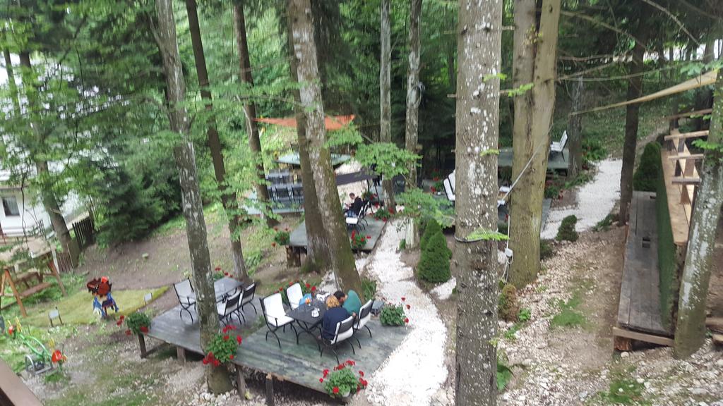 Гірськолижний курорт Сіная (Sinaia), Румунія