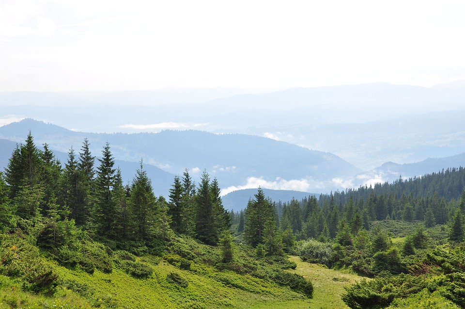 The picturesque nature of the Ukrainian Carpathians