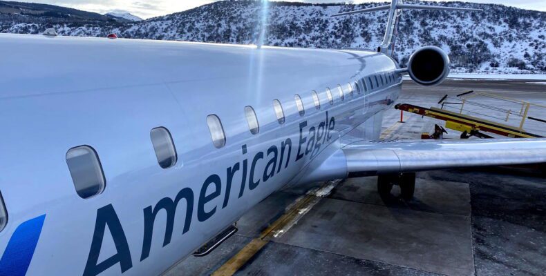 Service Dog Bite Forces Flight Diversion