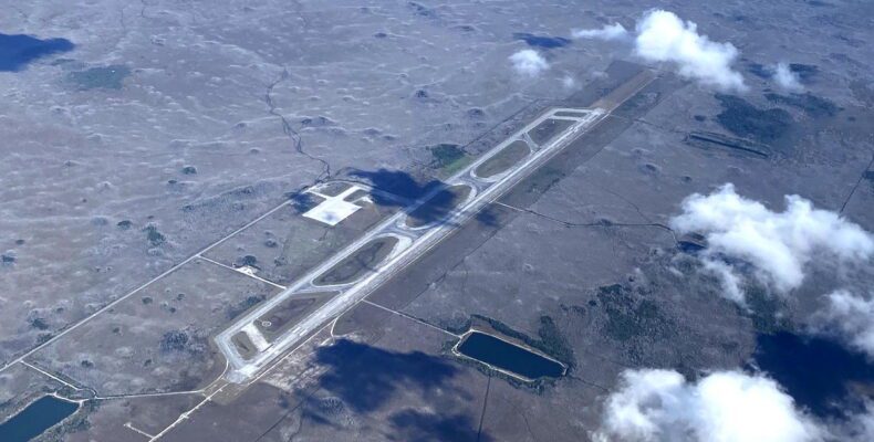 Everglades Airport Transforms into Alligator Sanctuary