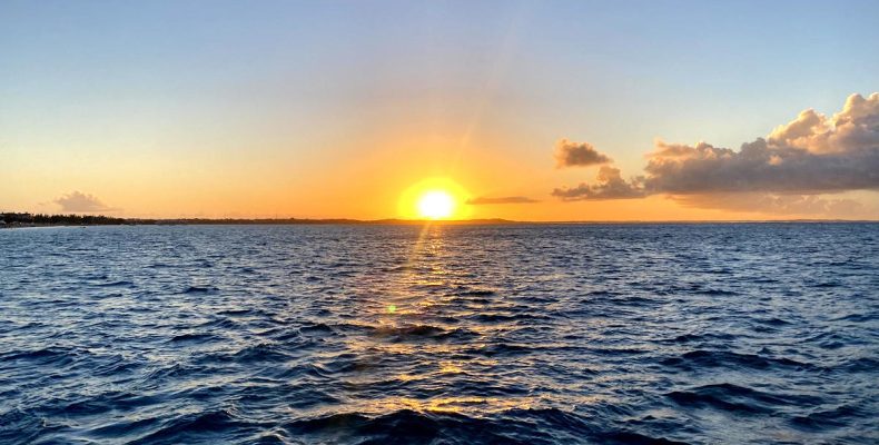 Embracing the Power of Content Blitzes