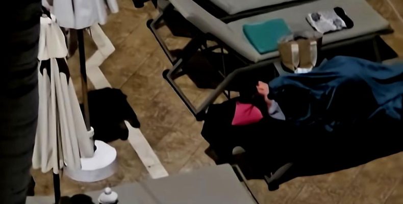 Pool Chair Snoozers: A Comedic Dilemma